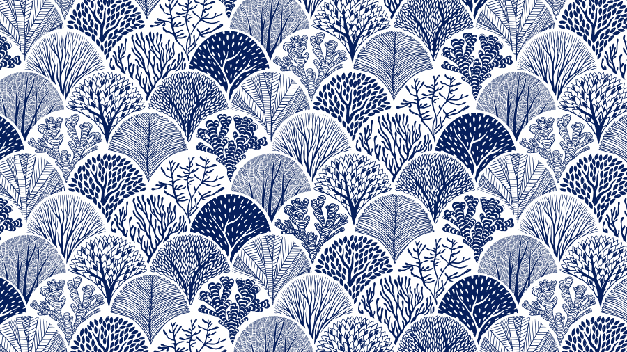 http://www.shebangstudio.com/wp-content/uploads/2016/03/shebang_Sushiro_Illus_01.jpg